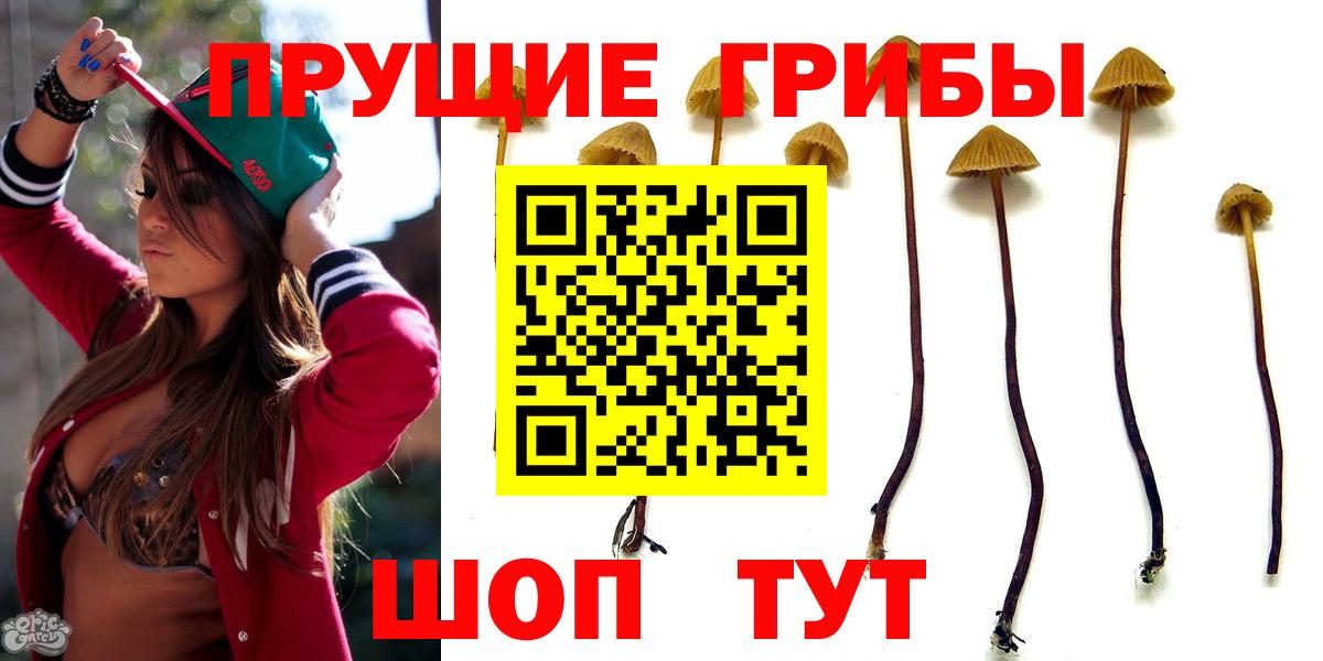 Псилоцибиновые грибы MAGIC MUSHROOMS Дербент
